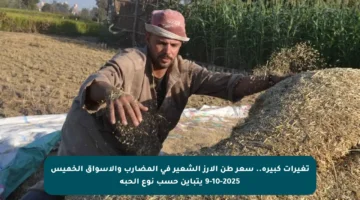 تغيرات كبيرة.. سعر طن الأرز الشعير في المضارب والأسواق الخميس 9-10-2025 يتباين حسب نوع الحبة